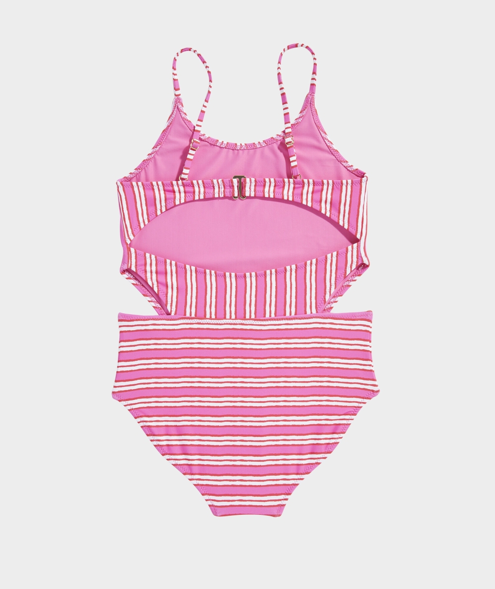 Nadar Vineyard Vines Painted Stripe Cut-Out One-Piece Stripes | 843521SMP