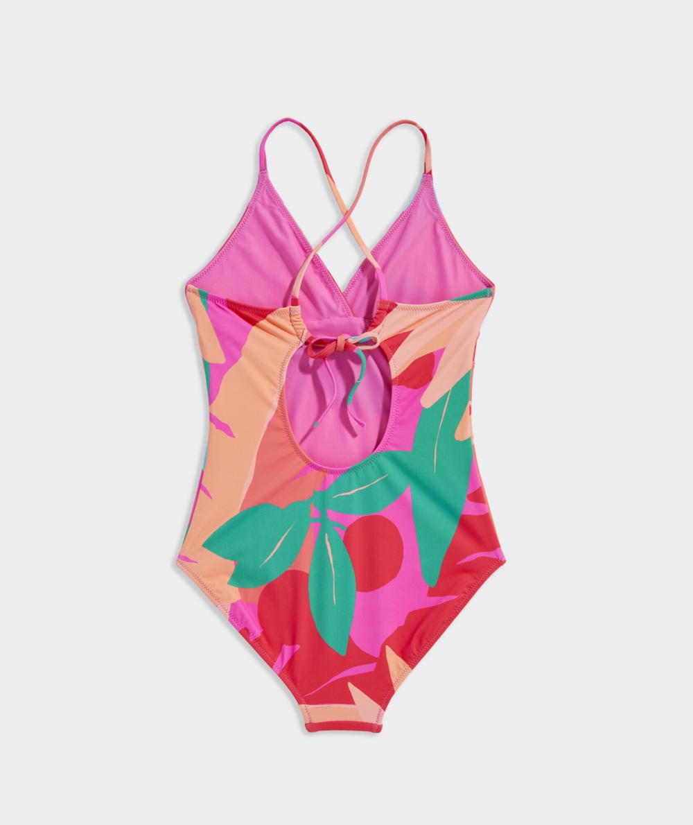 Nadar Vineyard Vines Printed Sconset One-Piece La Palmeraie | 418295IRO