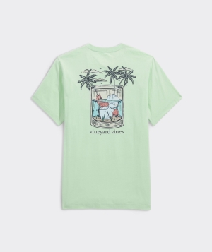 Tees Vineyard Vines Whiskey Glass Fish Corta-Sleeve Tee Aloe | 860749IJY